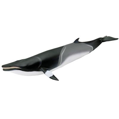 Safari Ltd. Minke Whale Figurine - Hand-Painted, Lifelike 7" Model Figure - Educational Sea Life Toy for Boys, Girls & Kids Ages 3+