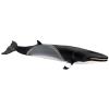 Safari Ltd. Minke Whale Figurine - Hand-Painted, Lifelike 7" Model Figure - Educational Sea Life Toy for Boys, Girls & Kids Ages 3+ view 2