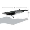 Safari Ltd. Minke Whale Figurine - Hand-Painted, Lifelike 7" Model Figure - Educational Sea Life Toy for Boys, Girls & Kids Ages 3+ view 3