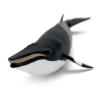 Safari Ltd. Minke Whale Figurine - Hand-Painted, Lifelike 7" Model Figure - Educational Sea Life Toy for Boys, Girls & Kids Ages 3+ view 4