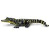 Safari Ltd. Alligator Baby Figurine - Detailed and Lifelike 4.5" Toy Figure - Fun and Educational for Boys, Girls & Kids Ages 3+ view 2