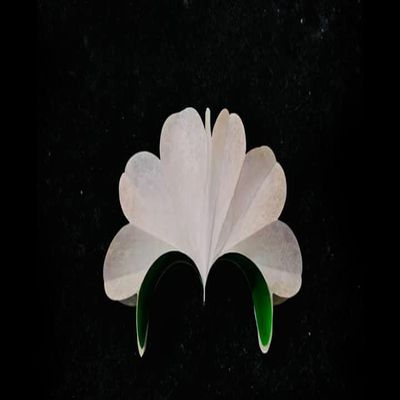 Deluxe Spring Flowers White by Alan Wong - Trick