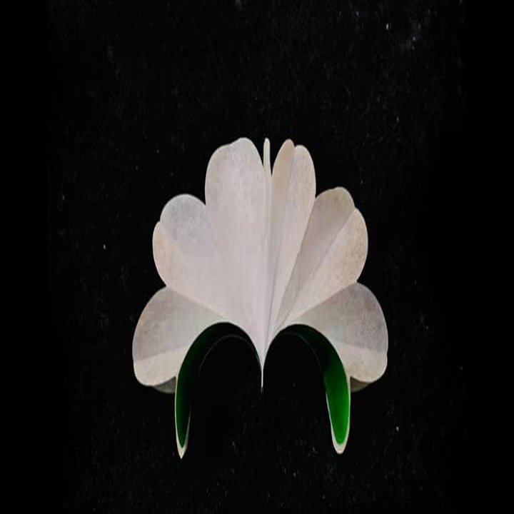 Deluxe Spring Flowers White by Alan Wong - Trick