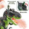 HYAKIDS Dinosaur Toys for Kids 3-5, Electric Tyrannosaurus Rex with Spray Mist, Walking, Light and Roaring Sound, Dino Toy Gift Ideas for Boys and Girls view 2