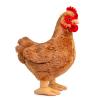FRANKIEZHOU Simulation Chicken Toy -13,Lifelike Hen Stuffed Animals, Soft Plush Chicken Toys for Kids, Home Decor view 1