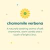 Babyganics Shampoo and Body Wash Refill, Chamomile Verbena, 32 Fl Oz (Pack of 2) view 3
