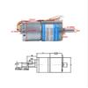 LVLOZ Micro brushless DC Gear Motor 12v24v Speed Control Gear 2418 Small Mini Motor Small Motor (Speed : 12V11rpm) view 3