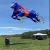 Giant Horse Kite Pendant for Adults Soft Inflatable Nylon Kite Line Laundry view 3