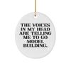 Cool Model Building, The Voices in My Head are Telling Me to Go Model Building., Beautiful Oval Ornament for Friends from view 1