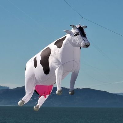 Solid Soft Inflatable Cow Kite Pendant for Adults Large Show Kites Line Laundry