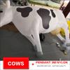 Solid Soft Inflatable Cow Kite Pendant for Adults Large Show Kites Line Laundry view 4