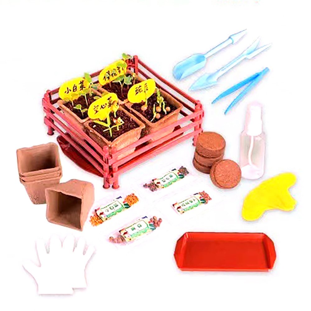 AoForce Best Easter Crafts Gifts for Girls & Boys Ages 6-12 Year Old Girl Christmas Plant Vegetable Growing Kit for Kids - Birthday Gift - Children Gardening Kits, Art Projects Toys