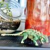Safari Ltd. Zuul Dinosaur Figurine from Dino Dana Movie - Detailed 7" Plastic Model Figure - Fun Educational Dinosaur Play Toy for Boys, Girls & Kids Ages 3+ view 2