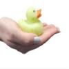 Cool Rubber Ducks (2") Standard Size. (12 Pack) Cute Duck Bath Tub Pool Toys. (Multi-Color Pattern Rubber Duckies) view 4