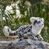 keaiart-ly Lifelike Snow Leopard Plush Toy, Cute Snow Leopard Stuffed Animals Toys Doll, Soft Plush Stuffed Animal Plushie, Original Design Toy view 4