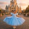 Axaxa Cinderella Costume for Girls Cinderella Dress Halloween Birthday Party Outfits view 4