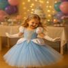 Axaxa Cinderella Costume for Girls Cinderella Dress Halloween Birthday Party Outfits view 3