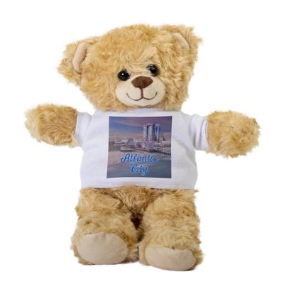 Atlantic City Teddy Bear, Gift Stuffed Animal, Plush Teddy Bear with Tee, Gift for Her, Birthday Basket
