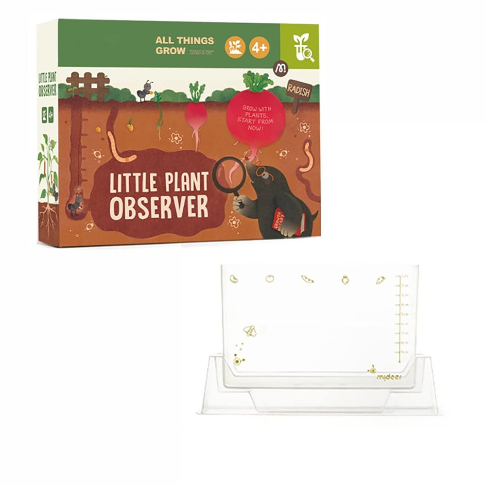 AoForce Children's Science Experiment Window Plant Growing Kit, Vegetable Plant Growth Observation Box Toy Science Kit for Homeschool & Classrooms, Ages 6+