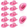 Sotiff 12 Pcs Mini Western Cowboy Hat Small Disco Hat Miniature Cute Cap for Party Drinks Cupcake Toppers(Glitter Pink) view 1