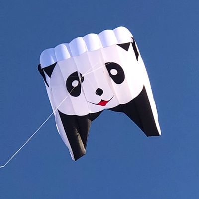 Large Panda Pilot Kite for Adults Soft Inflatable Animal Lifter Kite