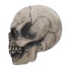 Clobeau Full Head Skull Mask With Moving Jaw and Glowing Eyes - 3D Realistic Human Skeleton Mask for Halloween Cosplay Costume, Scary Creepy Devil Skeleton Headgear for Men & Women view 4