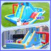 Doctor Dolphin Inflatable Water Slides, Water Bounce House with Waterslide for Kids, Blow Up Water Park Backyard, Water Slides Outdoor for Wet and Dry(550W Blower Included) view 4