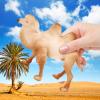 Supervitae 8 Pcs Christmas Large Plastic Camels Toys Plastic Figures Big Size Wild Arabian Camel Dromedary Toy Desert Stuffed Animals Figures with Humps Play for Home Diorama Decor view 2
