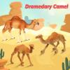 Supervitae 8 Pcs Christmas Large Plastic Camels Toys Plastic Figures Big Size Wild Arabian Camel Dromedary Toy Desert Stuffed Animals Figures with Humps Play for Home Diorama Decor view 4