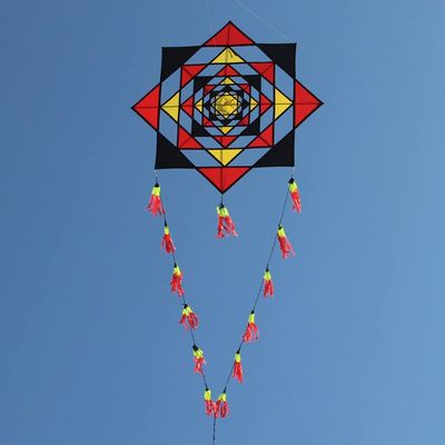 New Giant Octagonal Kite for Adults Single Line Modern Kites with Long Tails