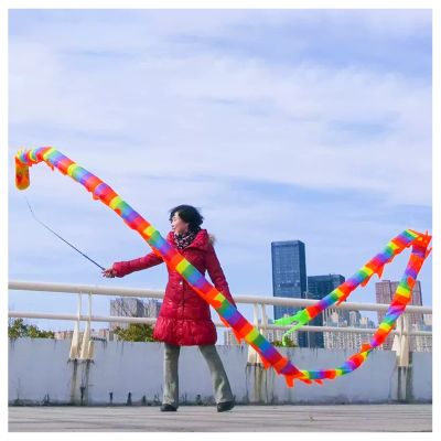 LXLZYXSF Dragon Dance Ribbon Flowy Spinning & Shaking Poi, Streamer with Rod, Elderly Grown-Up Outdoor Exercise Ribbon, (Color : C, Size : 5m/16ft Length)