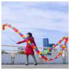 LXLZYXSF Dragon Dance Ribbon Flowy Spinning & Shaking Poi, Streamer with Rod, Elderly Grown-Up Outdoor Exercise Ribbon, (Color : C, Size : 5m/16ft Length) view 1