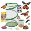 Insect Lore Butterfly Garden - 8" Habitat with 5 Live Baby Caterpillars - Includes Life Cycle Figurines, Stickers, Wind up, Mini Habitat | Birthday or Teacher Gift Set view 1