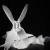 24pcs EMAX Avan Micro 2 Inch 4-Blade Racing Propellers for Drones (12x CW / 12x CCW) (Clear) view 2