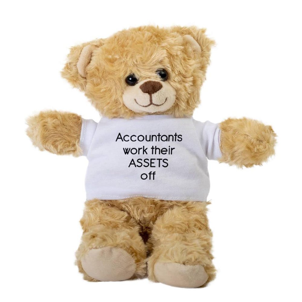 Accountants Work Their Assets Off Teddy Bear, Gift Stuffed Animal, Plush Teddy Bear with Tee, Welcoming Baby Gift, Gift for Her, Gift for Newborn, Cute Birthday Christmas Basket Gift Idea