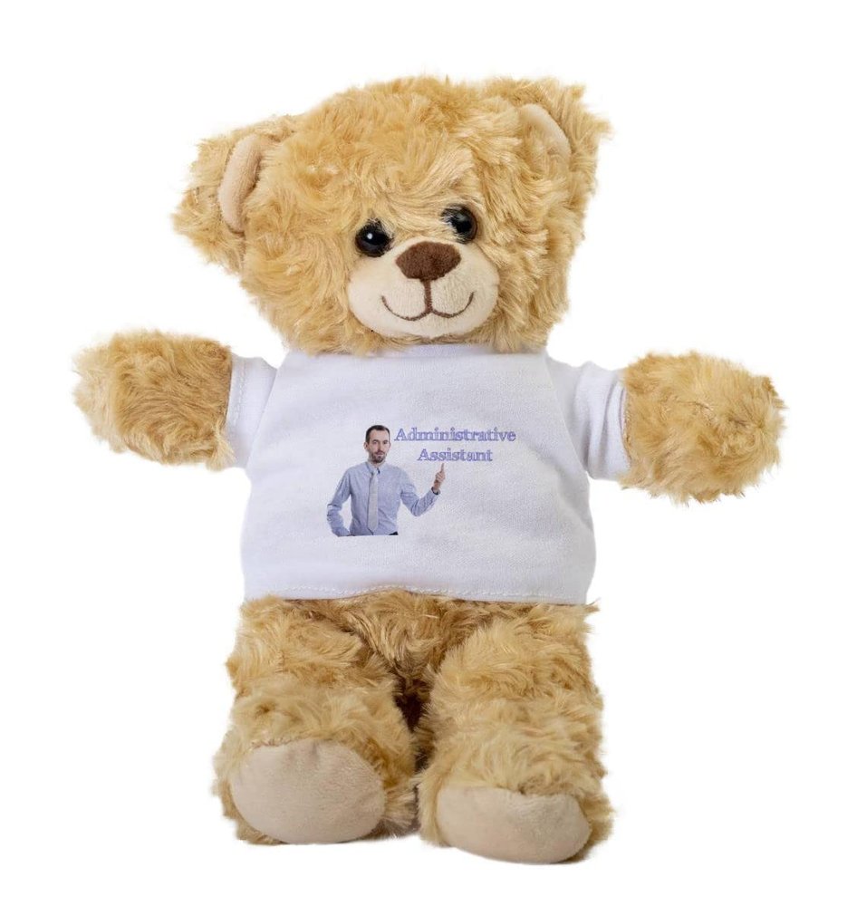 Administrative Assistant Young Businessman with Small Beard Po Teddy Bear, Gift Stuffed Animal, Plush Teddy Bear with Tee, Welcoming Baby Gift, Gift for Her, Gift for Newborn, Idea