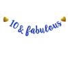 10 & Fabulous Banner,Pre-Strung,Blue Glitter Paper Banner Sign Garlands,10th Birthday / Anniversary Party Decorations Supplies,Letters Blue,SUNbetterland view 1