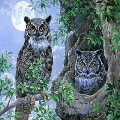 1000 Piece Puzzle Interesting Wooden Puzzles Toys Artwork,Two Owls,Large Scale Puzzle Game Artwork, Interesting Games, Suit,for Kids and Adults Ages 12 and Up