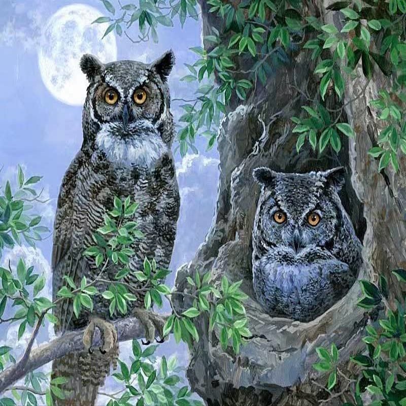 1000 Piece Puzzle Interesting Wooden Puzzles Toys Artwork,Two Owls,Large Scale Puzzle Game Artwork, Interesting Games, Suit,for Kids and Adults Ages 12 and Up