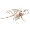 Boland 72405 Dragon Skeleton, Beige/Black, 4 view 1