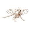 Boland 72405 Dragon Skeleton, Beige/Black, 4 view 2