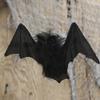Group of 12 Black Halloween Bats by Factory Direct Craft view 4