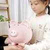 Fun Money Banks Large Capacity Ceramic Piggy Bank Adult Creative Coin Can Boys Girls Halloween Thanksgiving Gift Saving Box view 3