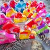 mypush popo 24 Packs Cars Classroom Students Gifts Bulk Rainbow Bubble Fidgets Gifts From Teacher, Cars Mini Pop Holiday Rewards Party Favors for Kids Adult view 1