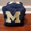 All Weather Michigan Cornhole Bags (8 bags) view 4