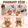HyDren 12 Pieces Valentines Bears Stuffed Animals Soft Plush Toy Bears for Birthday Party Easter Wedding Baby Shower Christian Charity Donation Supplies(Light Brown) view 2