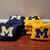 All Weather Michigan Cornhole Bags (8 bags) view 2