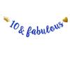 10 & Fabulous Banner,Pre-Strung,No Assembly Required,Funny Blue Paper Glitter Party Decorations for 10th Birthday Party Supplies, Letters Blue,ABCpartyland view 1