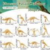 Lewtemi 240 Pcs Dinosaur Skeletons, Plastic Figures Dino Bones, Dinosaur Skeleton Toys for Dino Sand Dig, Science Play, Party Favor Decorations, 12 Styles view 2