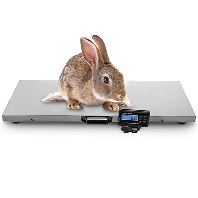 1100lbs Scale Hog Pet Dog Sheep Goat Scale Power Pet Dog/LCD Digital Platform Heavy Duty Portable Stainless Platform Postal Floor Scale
